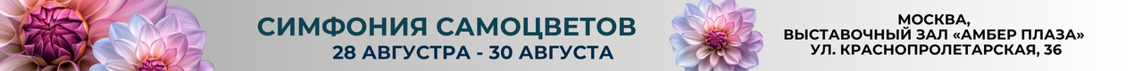 Симфония Самоцветов | АВГУСТ 2026