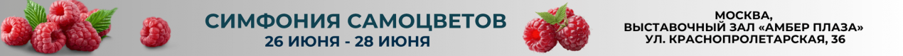 Симфония Самоцветов | ИЮНЬ 2026
