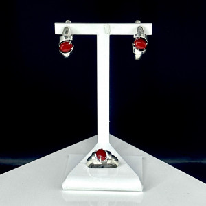 Серьги с10011