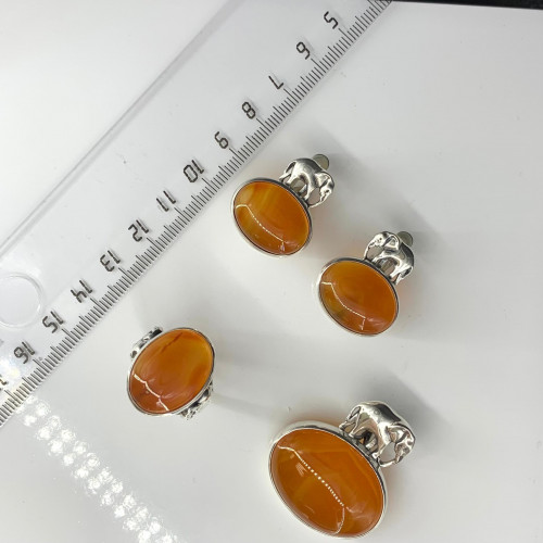 Серьги с10079 (18.17 г), серебро,  Коричневый Сердолик купить в интернет-магазине Циркон С