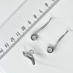 Серьги с10205