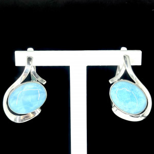 Серебряные серьги с1661