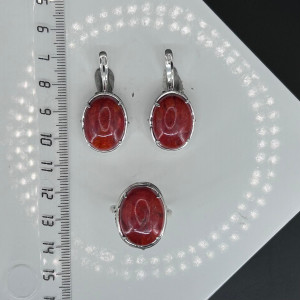 Серьги с1691