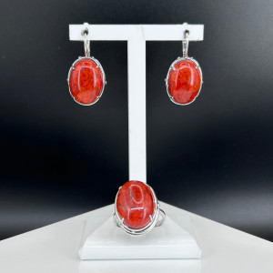 Серьги с1691
