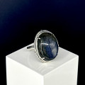 Лабрадор