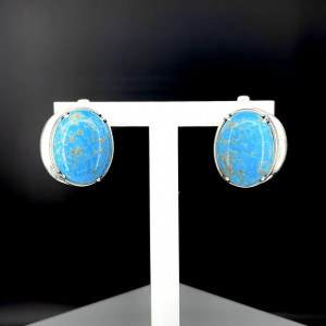 Серьги с1707