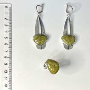 Серьги с1904