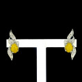 Янтарь